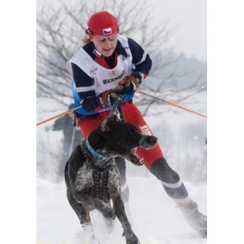 ManMat Postroj HOUND