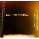 Layo & Bushwacka! - Rising & Falling