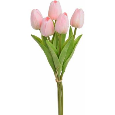 Tulipán pěnový (5 ks) - růžová/broskev