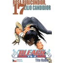 Bleach 17