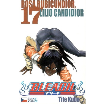 Bleach 17