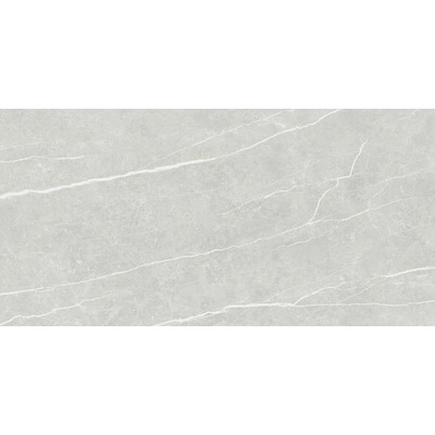 EBS Elit 60 x 120 cm silver lesklá 1,44m²