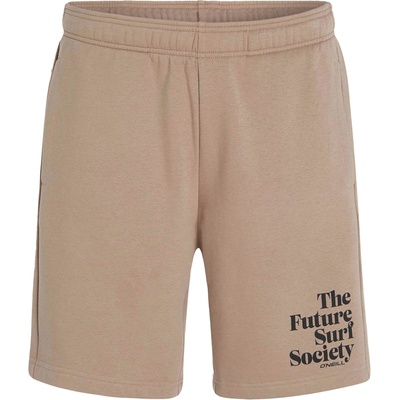 O'Neill Панталон 'Future Surf Society' кафяво, размер XL