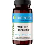 Bioherba Tribulus Terrestris 250 mg [100 капсули]