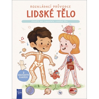 Lidské tělo