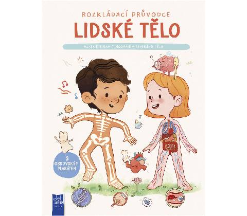 Lidské tělo