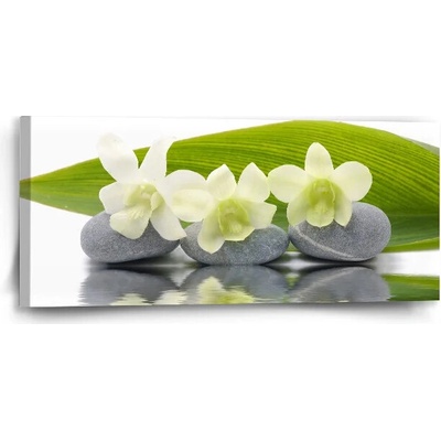 Sablio Obraz Biela orchidea - 110x50 cm