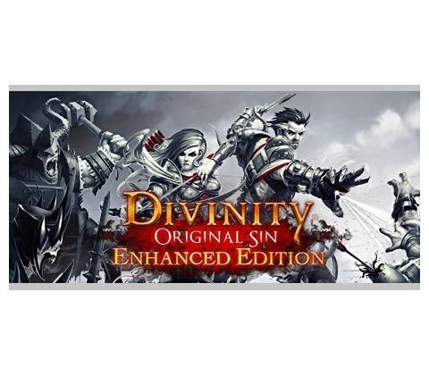 Divinity Original Sin