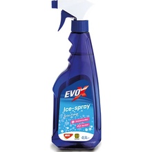 EVOX Ice spray 500 ml