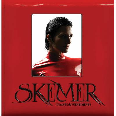 Toasts & Sentiments - Skemer LP