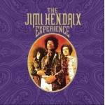 Jimi Hendrix - Jimi Hendrix Experience (Box Set) (Reissue) (8 LP) (0886977455414)