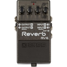 Boss RV6