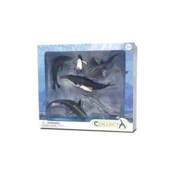 CollectA Set of 6 marine animals in package 84050 COLLECTA