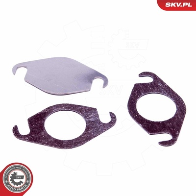 Súprava na opravu, ventil AGR ESEN SKV 14SKV533 14SKV533