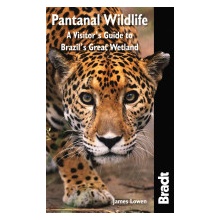 Pantanal Wildlife - J. Lowen