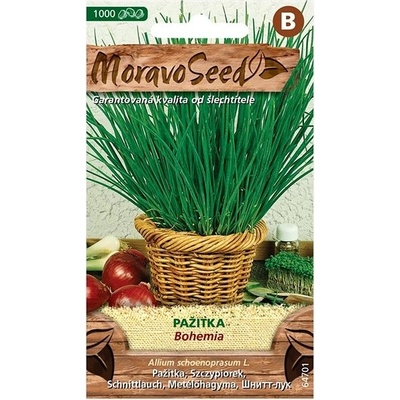 MORAVOSEED CZ Pažitka BOHEMIA