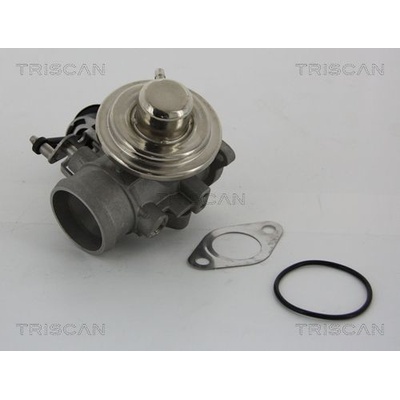 AGR-Ventil TRISCAN 8813 29001