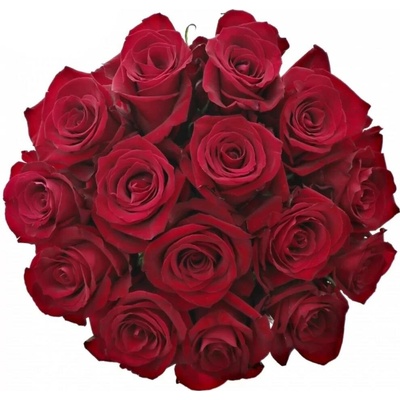 Kytice 15 luxusních růží EVER RED 50cm