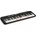 Casio LK S250