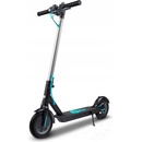 Motus Scooty 8.5
