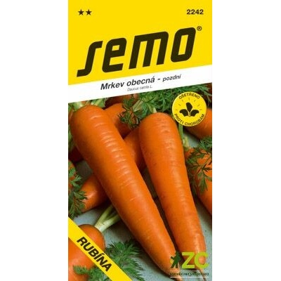 Osiva Mrkev - Rubína pozdní
