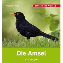 Die Amsel Straa Veronika