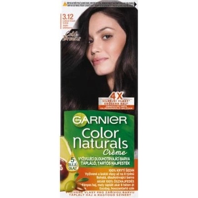 Garnier Color Naturals Créme permanentní barva na vlasy 3,12 Icy Dark Brown 40 ml
