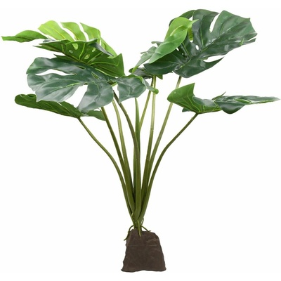 Lucky Reptile Monstera 60 cm