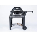 Weber PULSE 2000 WITH STAND