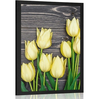 Plakát žluté tulipány na dřevěném podkladu - 40x60 white