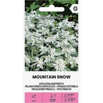 Seklos Еуфорбия (Перлена млечка) Mountain Snow