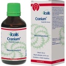 Joalis Cranium 50 ml