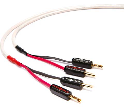WireWorld Stream