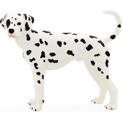 Animal Planet Dalmatínec