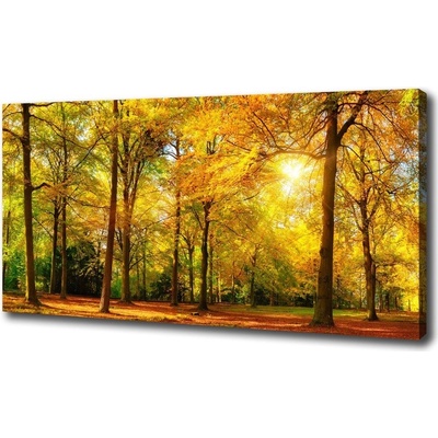Foto obraz canvas Jesenný les 100x50 cm