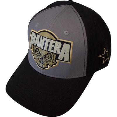 Pantera Skull Шапка с козирка Charcoal Grey & Black UNI (PANTMBCAP04BC)