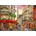 Bluebird Puzzle - Puzzle Paris Rendez-vous 500 - 500 piese