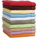 Jerry Fabrics uterák Color 50x100 cm světle modrý