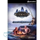 Pillars of Eternity: The White March Expansion Pass