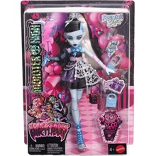 Mattel Monster High Scary Sweet Birthday Frankie Stein
