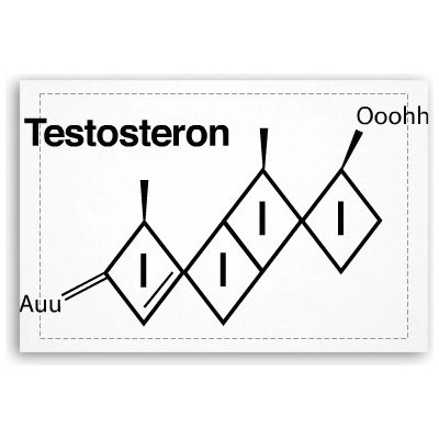 Fotoobraz 60x40 cm malý Testosteron