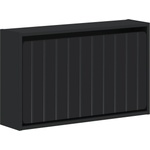 vidaXL Стенно шкафче за обувки ZWOLLE 71 x 17 x 43 см Черно (896406)