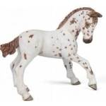 Papo Zrebie Appaloosa - mallbg - 22,61 лв