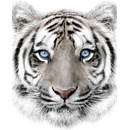 JERRY FABRICS Plyšová deka biely tyger