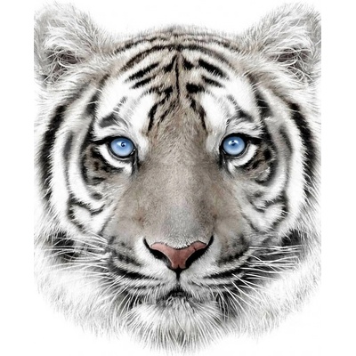 JERRY FABRICS Plyšová deka biely tyger