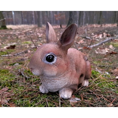 Králík barevný 3 druhy