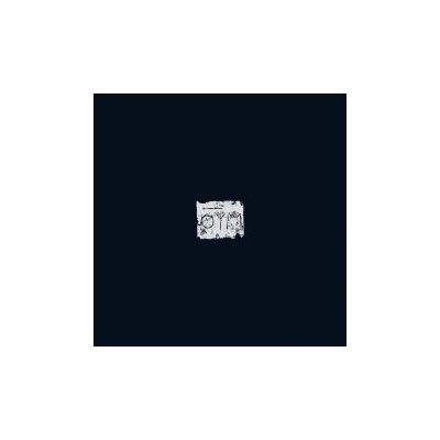 A Swarm of the Sun - Woods Vinyl Limited LP