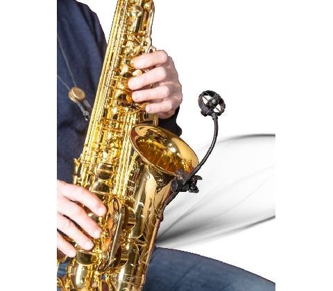Prodipe SB21