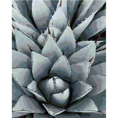 zuty Malování Podle Čísel Kaktus Agave 80 x 100 Cm Plátno Rám