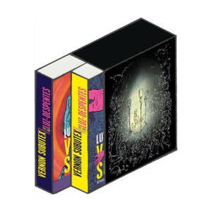 Vernon Subutex | Luz, Lilian Pithan (ISBN: 9783956404443)
